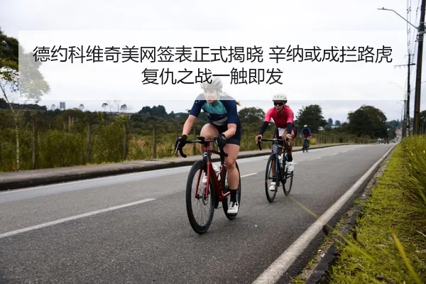 de-yue-ke-wei-qi-mei-wang-qian-biao-zheng-shi-jie-xiao-xin-na-huo-cheng-lan-lu-hu-fu-chou-zhi-zhan-yi-chu-ji-fa-2-733.jpg
